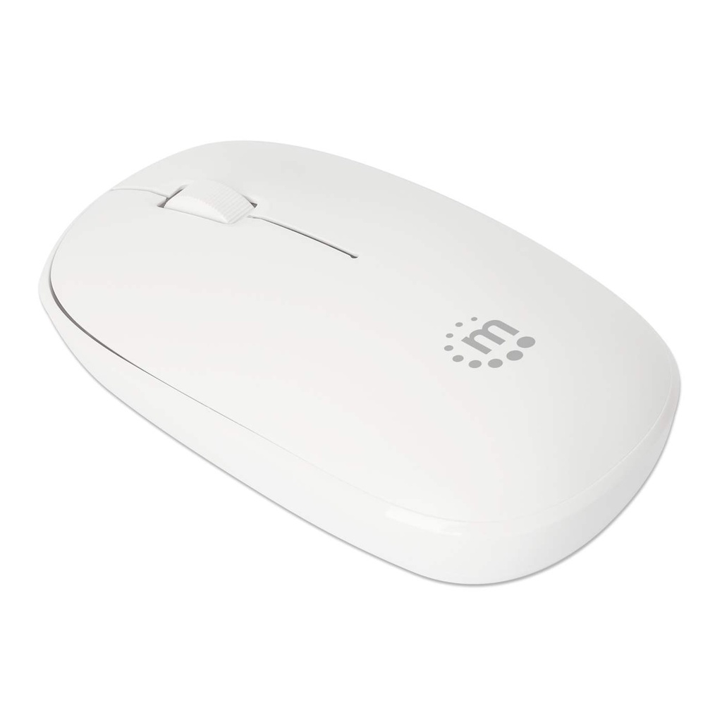 Mouse MANHATTAN 190329 — 5