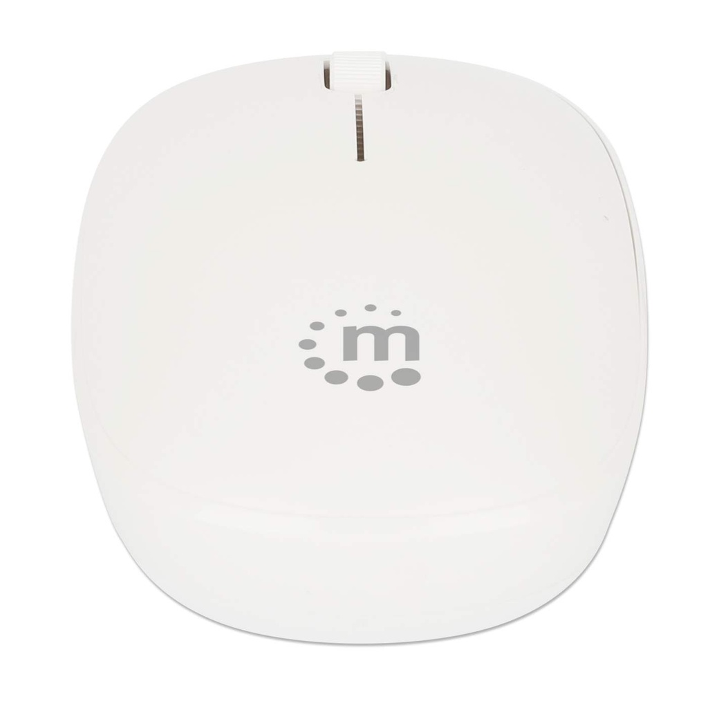 Mouse MANHATTAN 190329 — 7