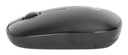 Mouse MANHATTAN 190312 — 4