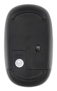 Mouse MANHATTAN 190312 — 5