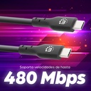 Cable USB C MANHATTAN 354868 — 2