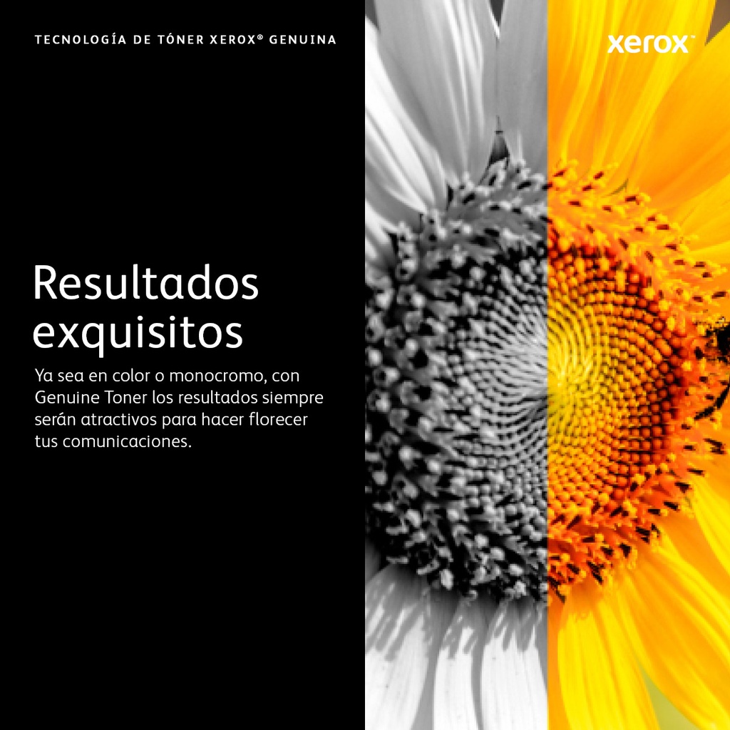Tóner XEROX D95/110/125/136 — 7