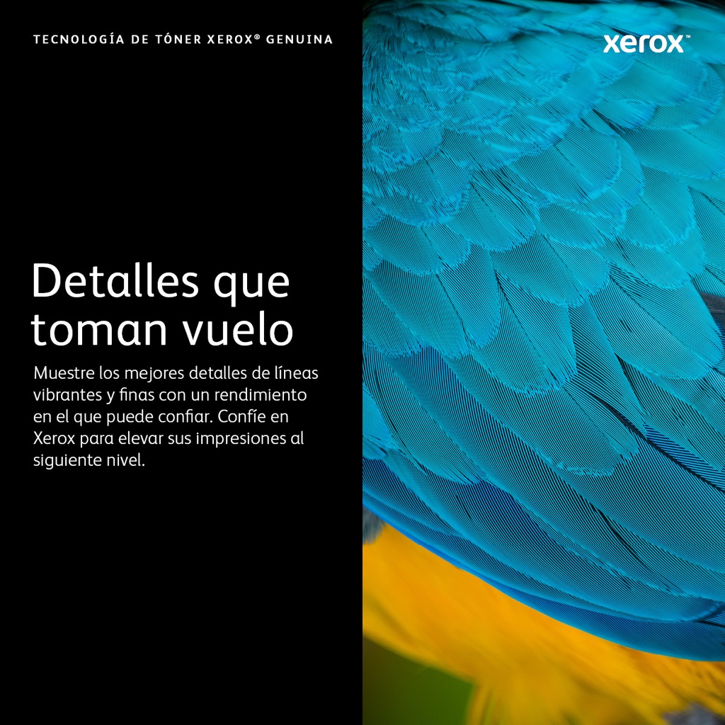 Cartucho de Tambor XEROX VersaLink B600 — 3