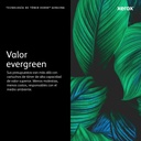 Tóner XEROX VersaLink C7020/7025/7030 — 5