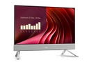 All in One DELL EC24250 — 1