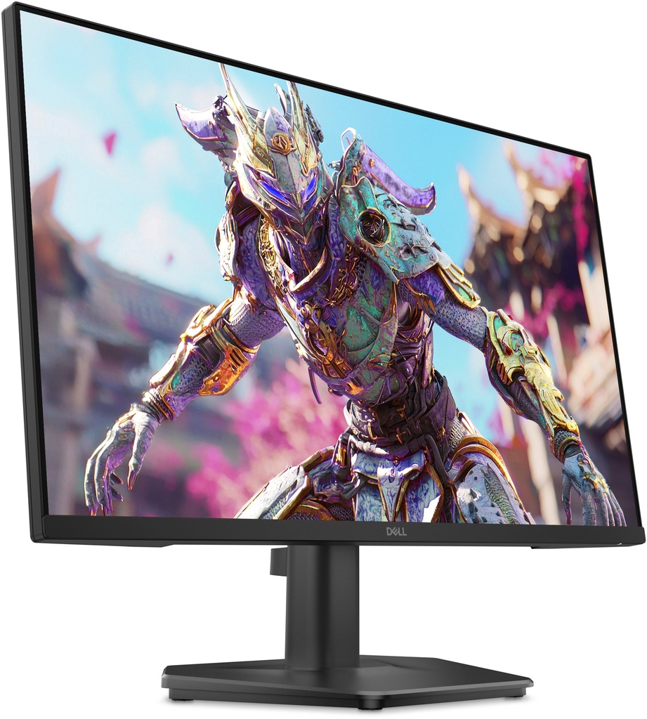 DELL SE2426HG