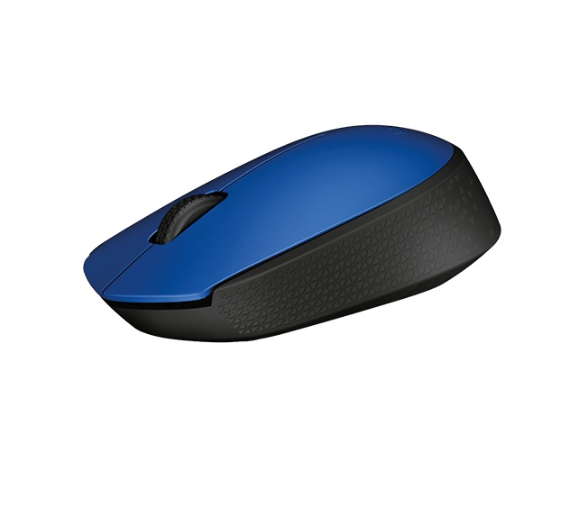 LOGITECH M170