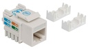 Keystone Jack INTELLINET 210591 — 5