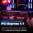 Tarjeta Serial PCI Express MANHATTAN 152082 — 5