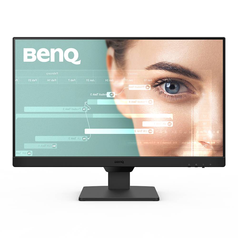 BENQ GW2491