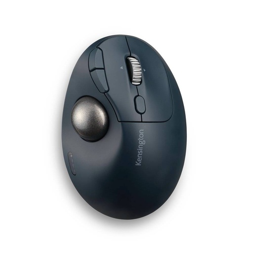 [Mous-MT-0024935] Mouse KENSINGTON TB550
